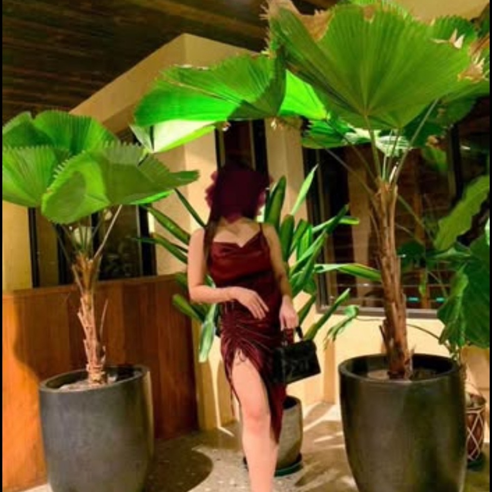 Elegant Burgundy Ruched Dress